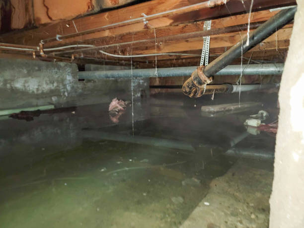 Best Basement water damage restoration  in Great Bend, NY