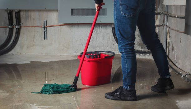 Best Mold removal after water damage  in Great Bend, NY