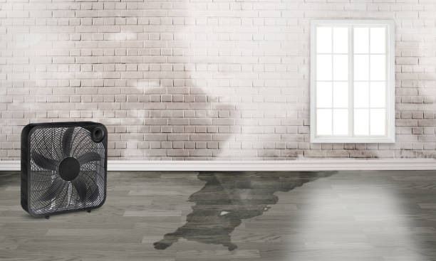 24/7 water damage repair in Great Bend, NY