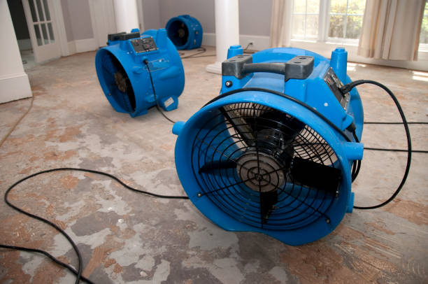 Best Flooded house restoration  in Great Bend, NY