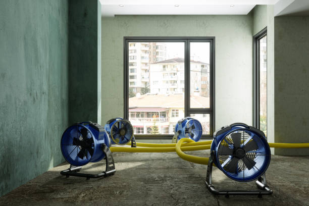 Water damage restoration experts in Great Bend, NY