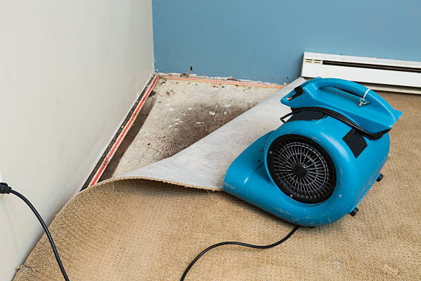Best Water damage restoration near me  in Great Bend, NY